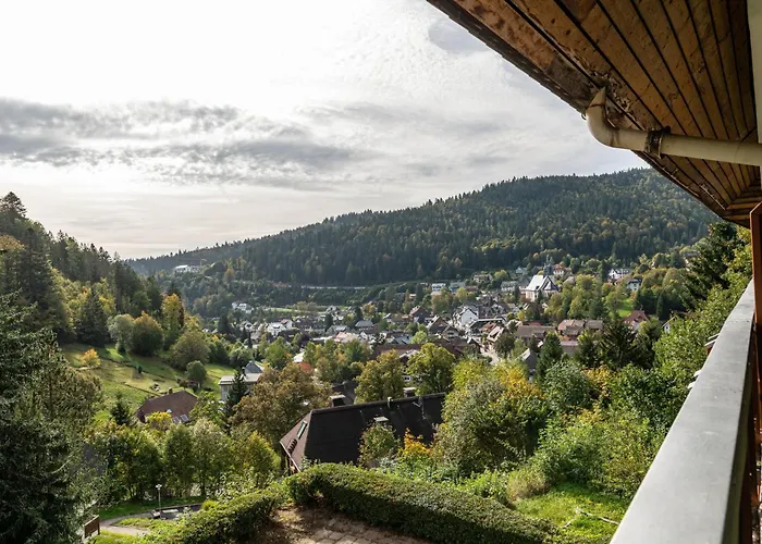 Ursel Apartman Todtmoos